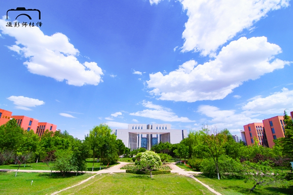 夏日的雷竞技qg