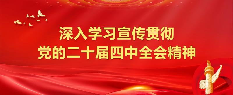 深入学习宣传贯彻党的二十届四中全会精神