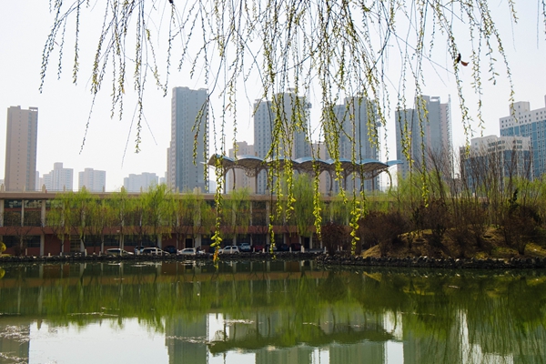 春满工大关不住