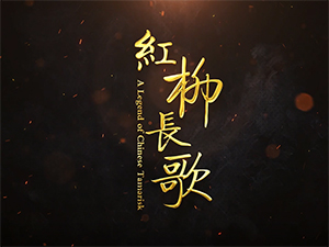 红柳长歌　